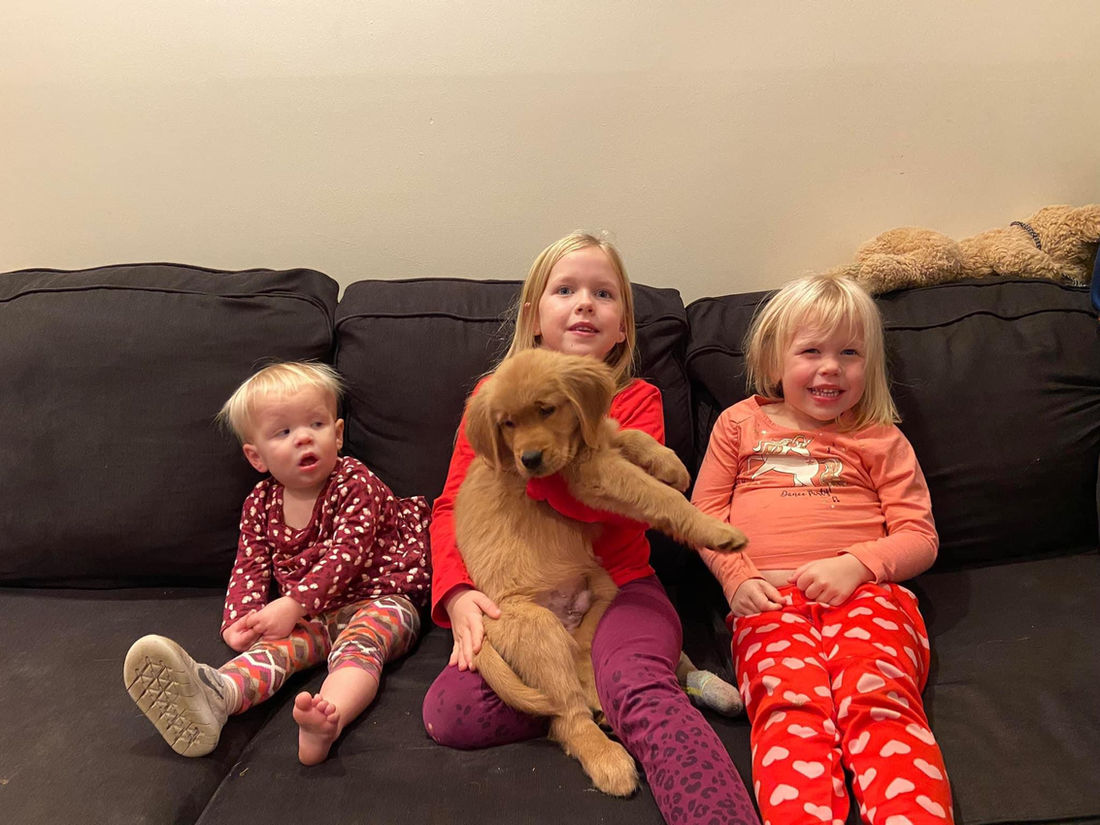 A Studley Hill Golden Retriever home with their family